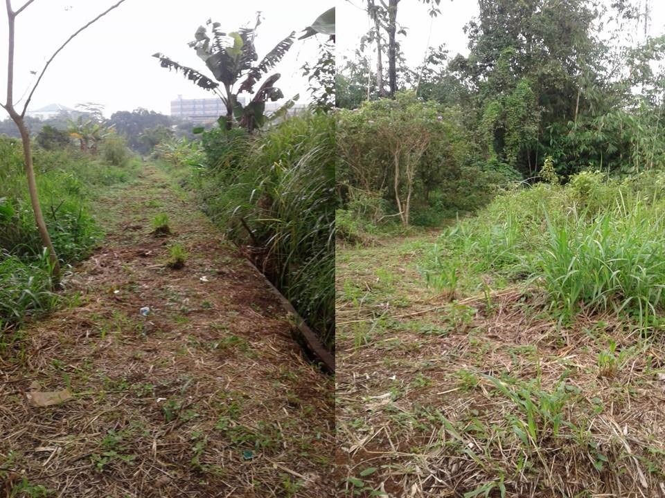 Jual Rumah Dekat Stasiun Lrt
