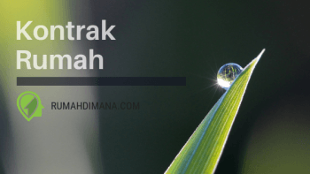 kontrakan rumah