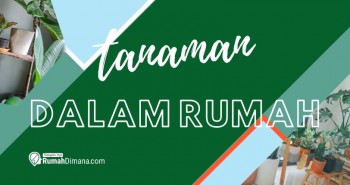 Tanaman Dalam Rumah