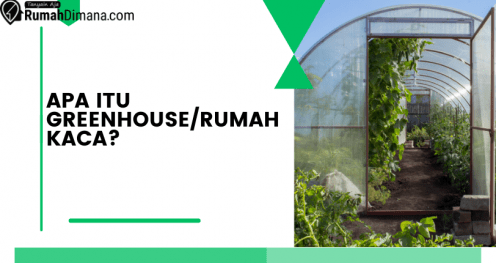 greenhouse