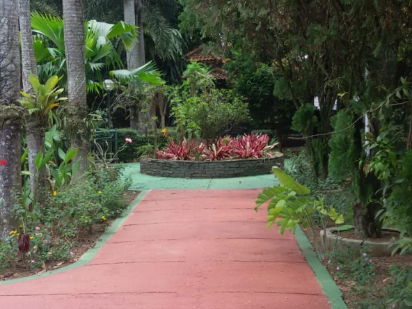 jual tanah di bogor