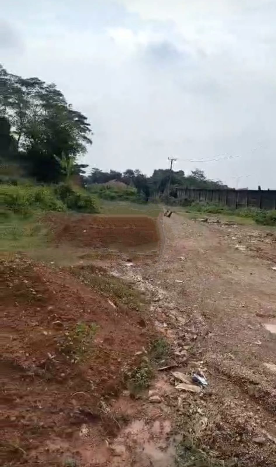 Tanah Cigudeg