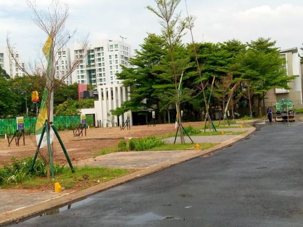 citra 6