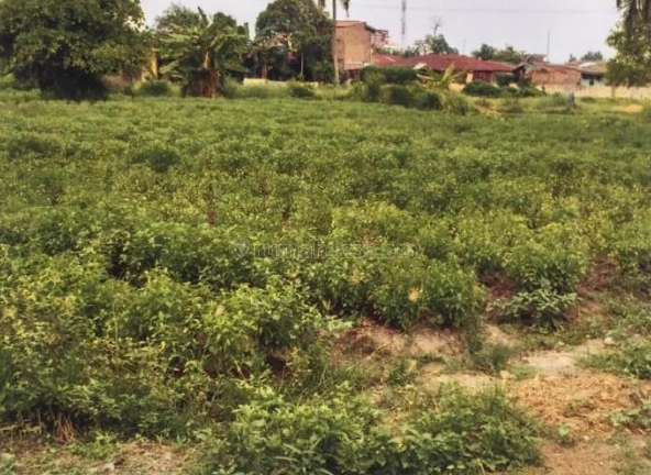 Jual tanah di Medan kota