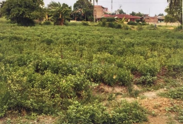 Jual tanah di Medan kota